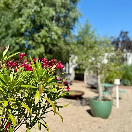 Botanica