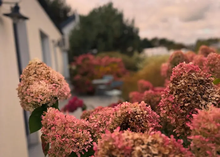 Vila Botanica Odargowo