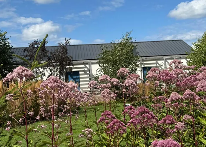 Botanica Vila Odargowo